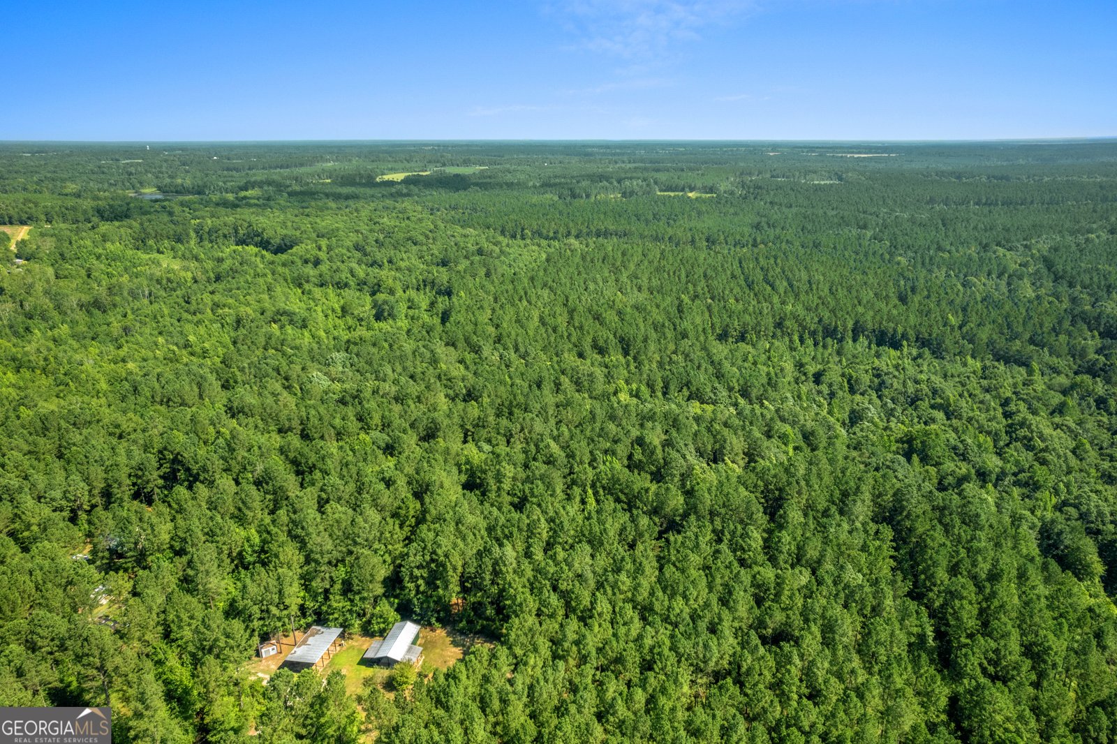 1269 Tarver Road Davisboro - 53