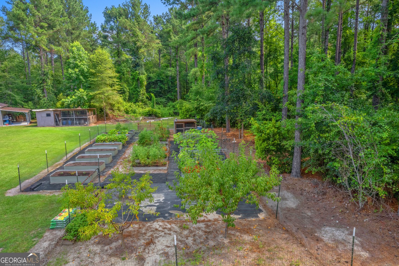 1269 Tarver Road Davisboro - 55