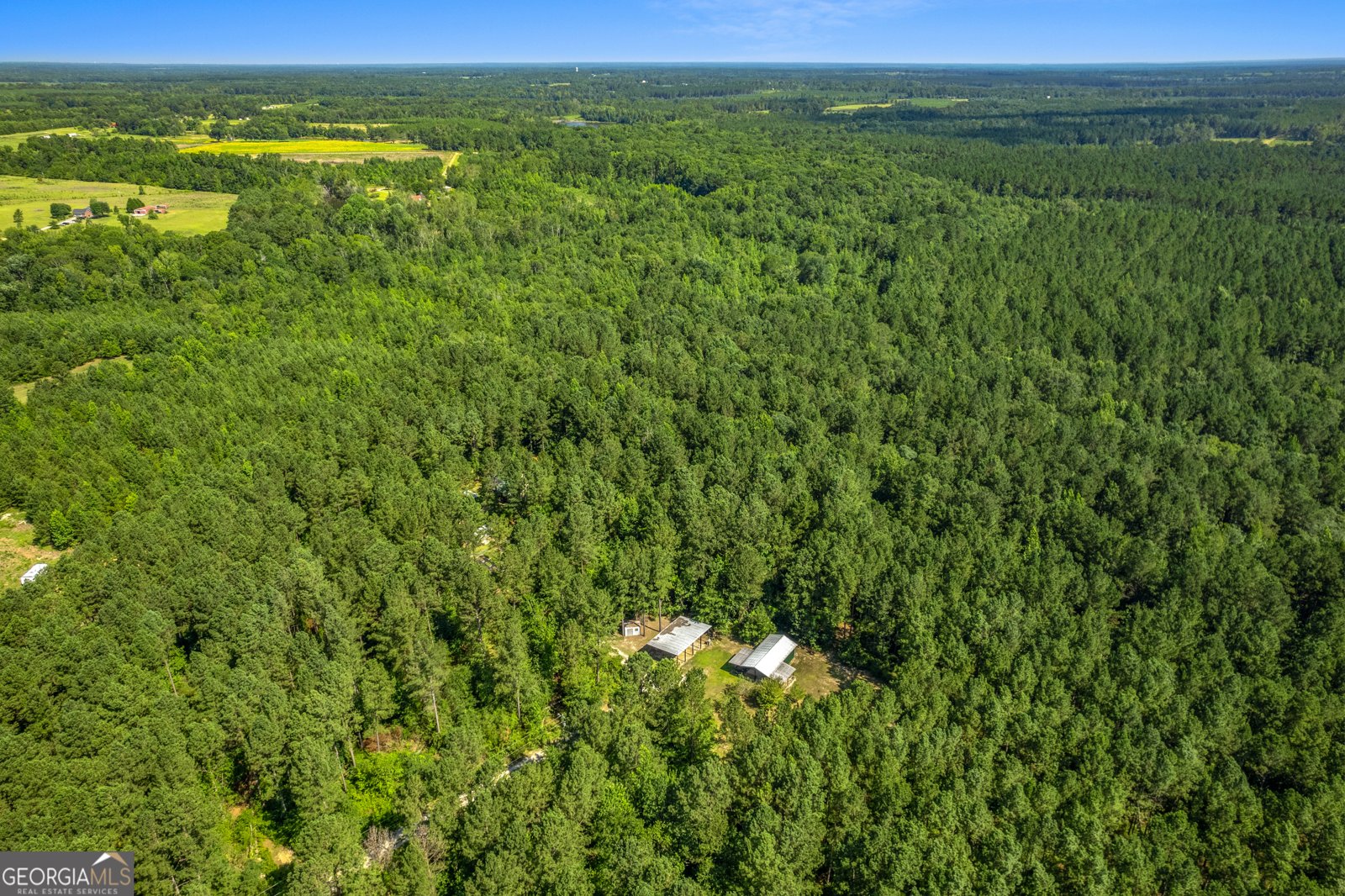1269 Tarver Road Davisboro - 61