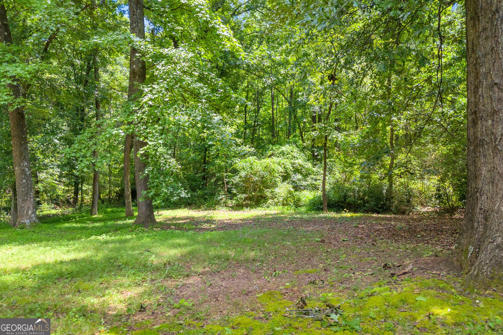 1601 Christopher Drive Jonesboro - 49