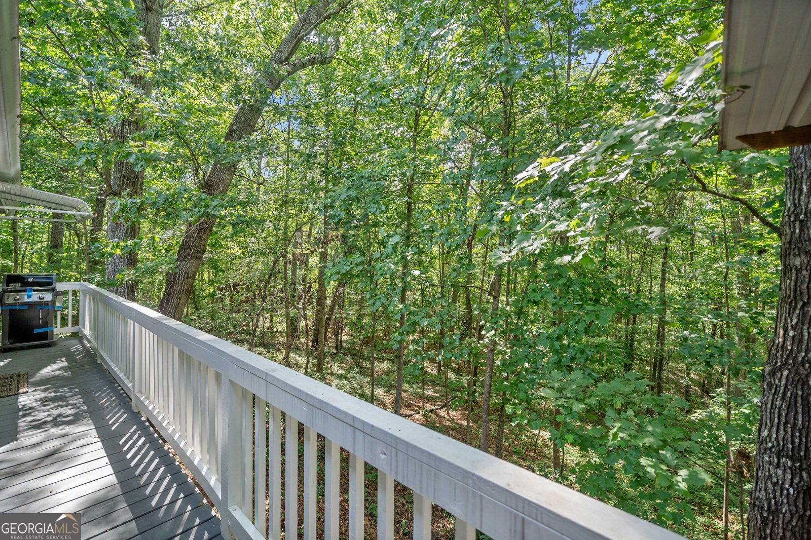 110 Overlook Trail Dallas - 11