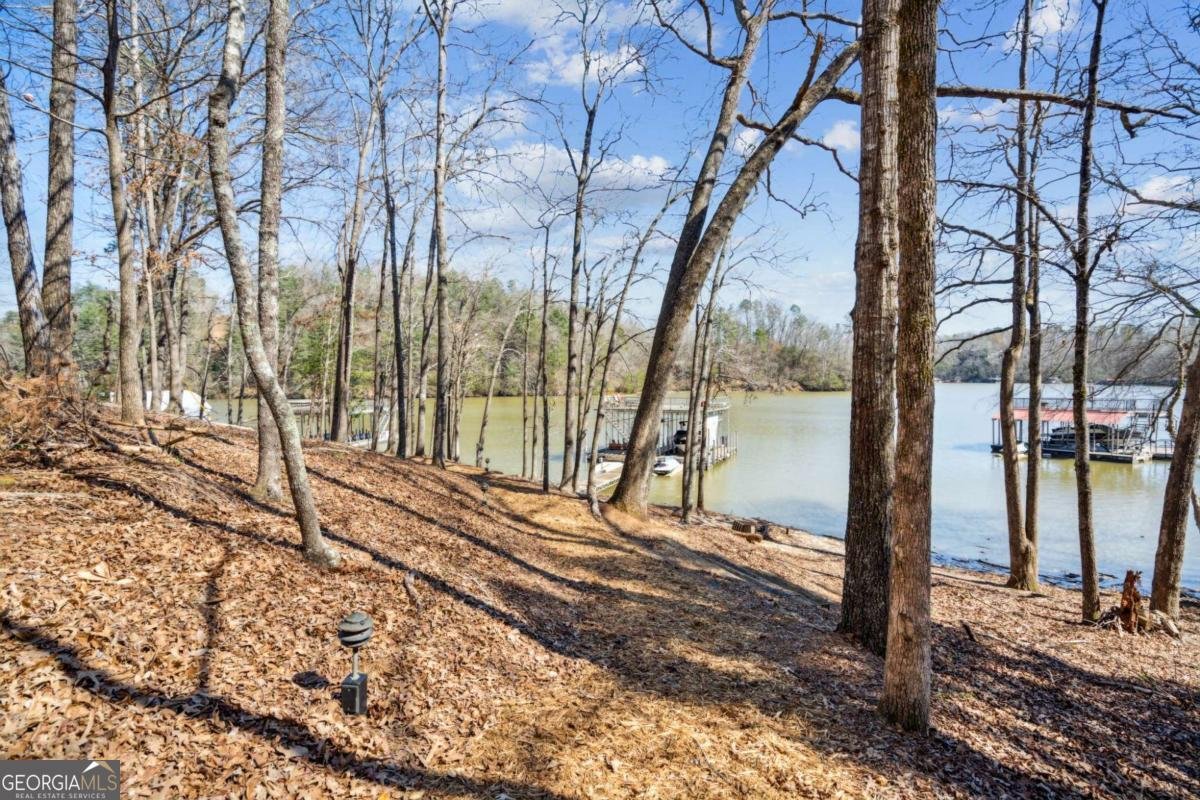 27 Lakeshore Circle Dawsonville - 64