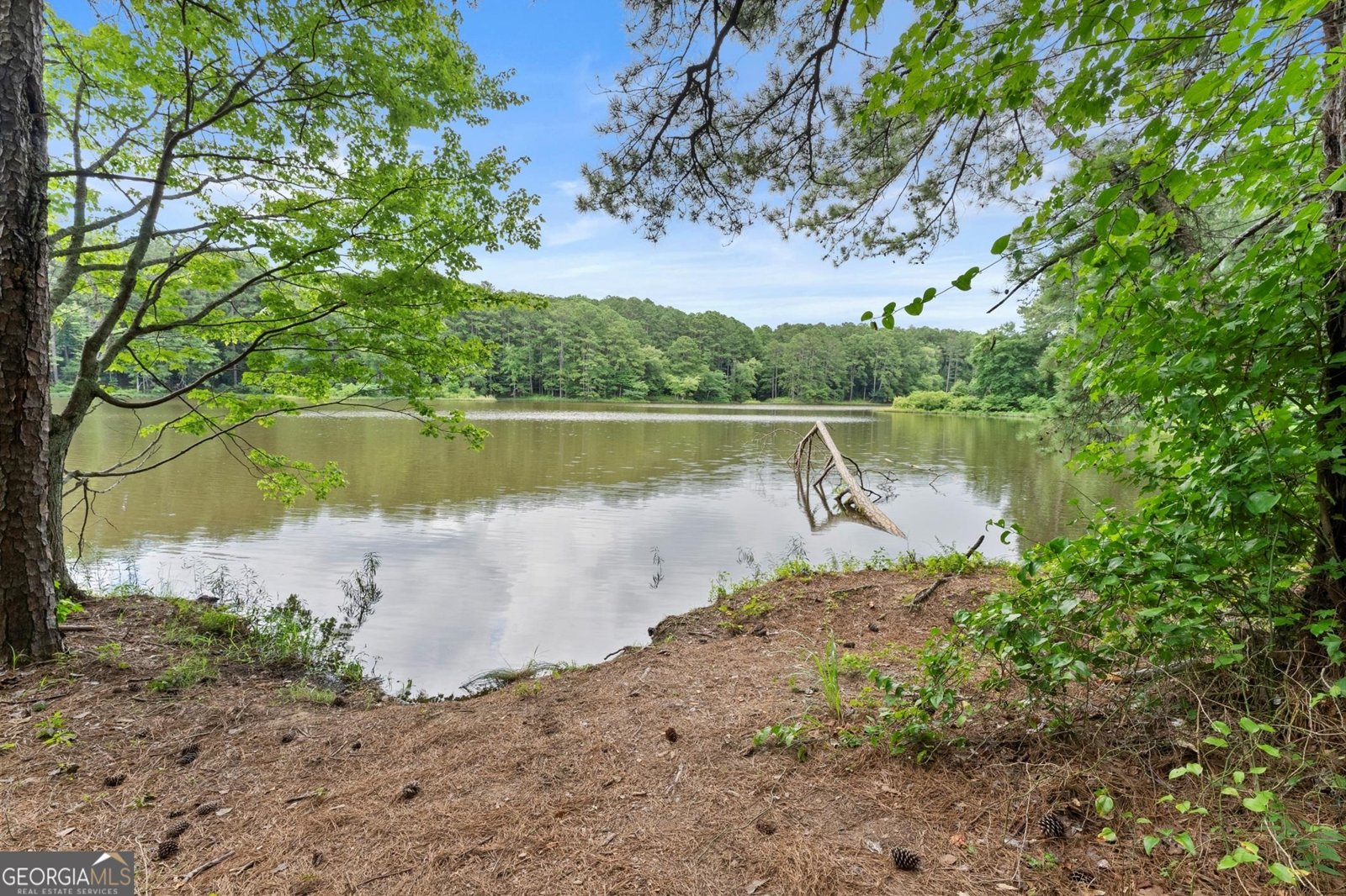 3932 Marguerite Drive Acworth - 37
