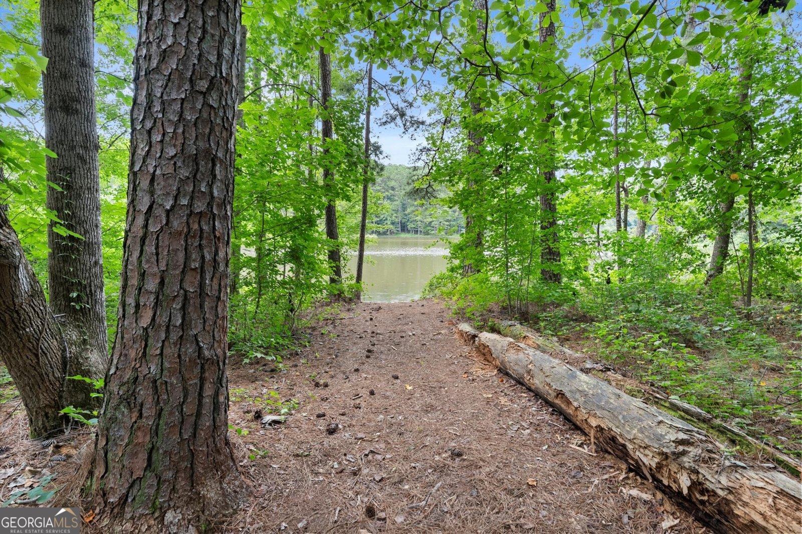 3932 Marguerite Drive Acworth - 38