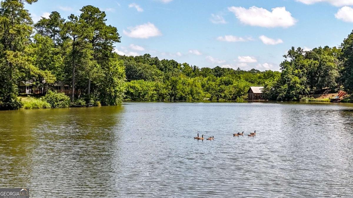 197 Big Springs Road Calhoun - 36