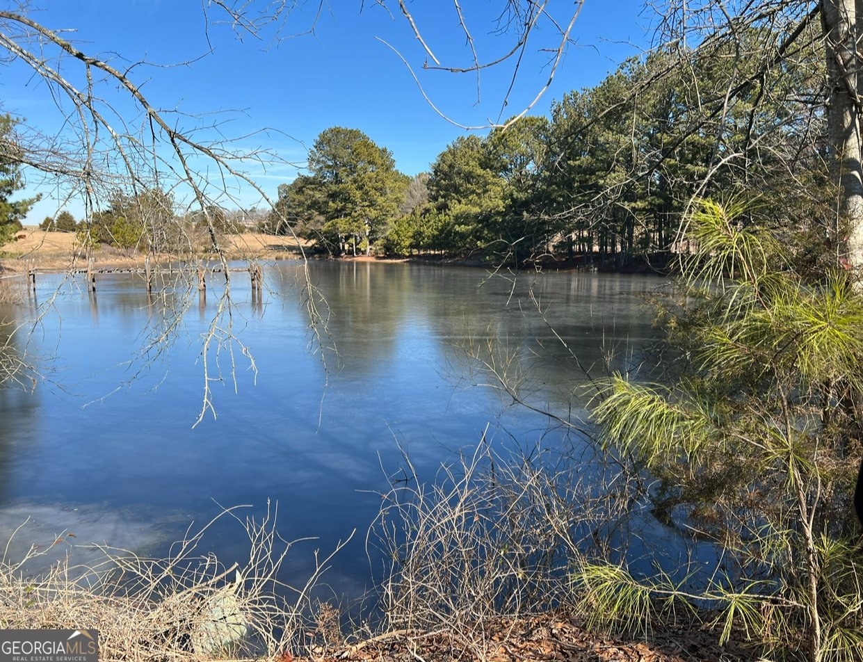 2467 Gum Creek Road Oxford - 1
