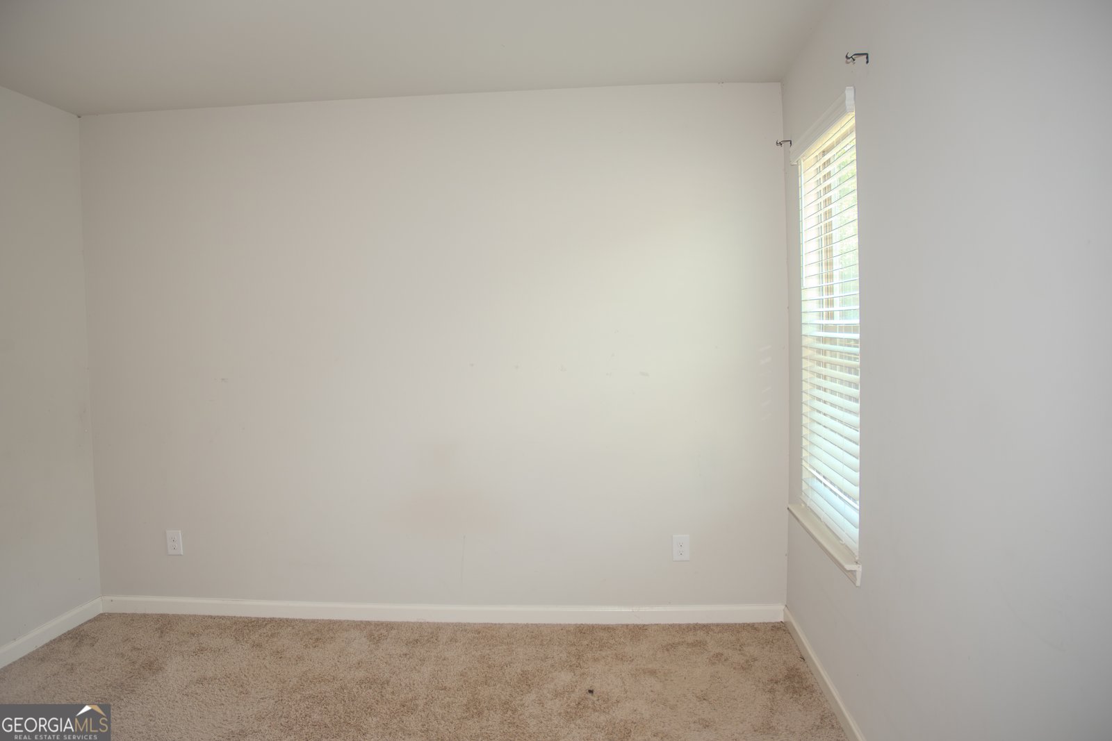 12226 Flannery Lane Hampton - 60