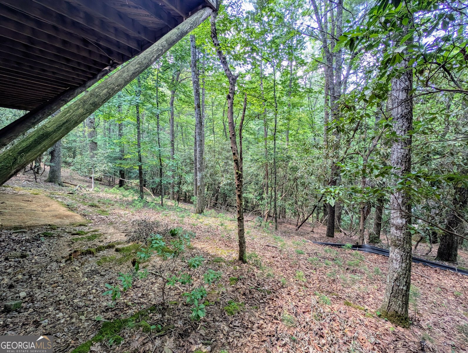 725 Blue Ridge Drive Sautee Nacoochee - 24