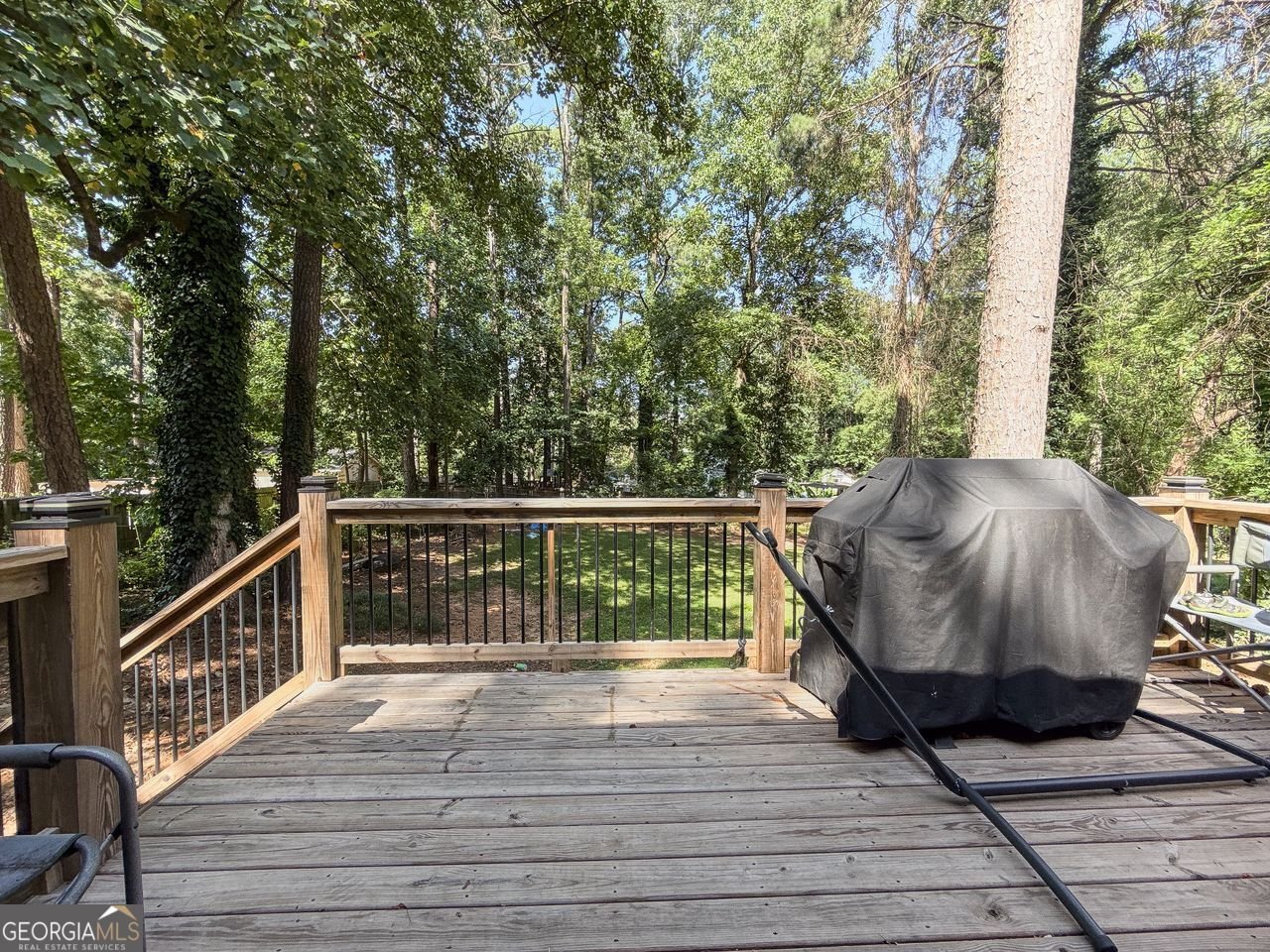 218 PRINCE ANTHONY Drive Lawrenceville - 29