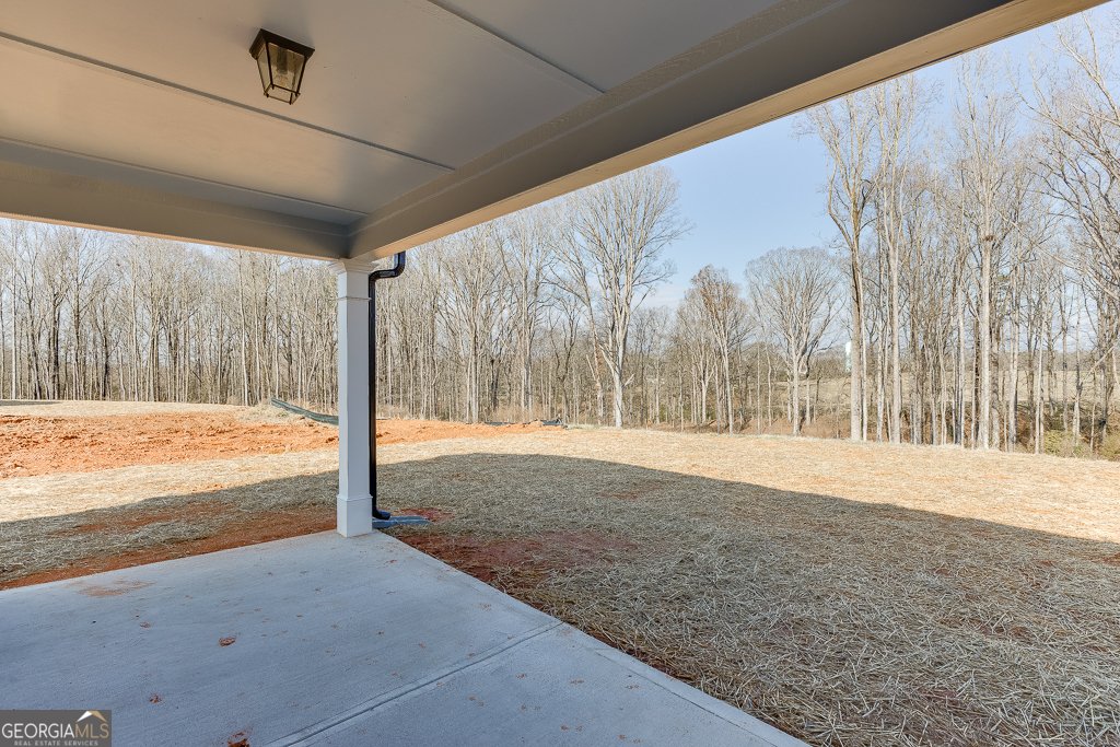 228 Franklin Hills Drive Carnesville - 2