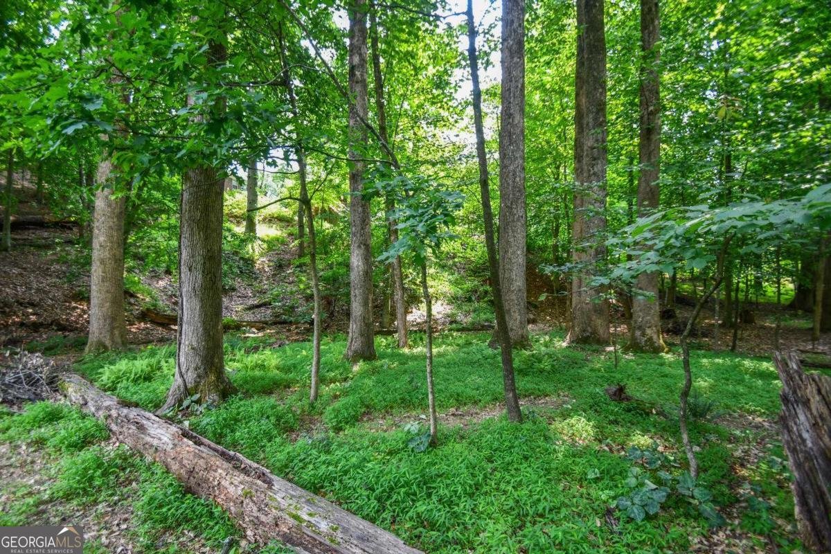 1173 Saint Charles Place Gainesville - 10