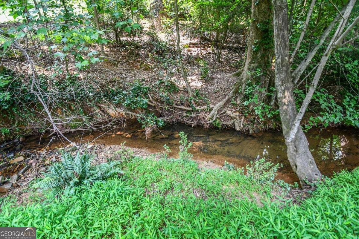 1173 Saint Charles Place Gainesville - 4