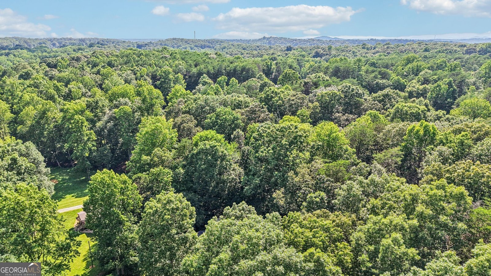 801 Copper Mines Road Murrayville - 50