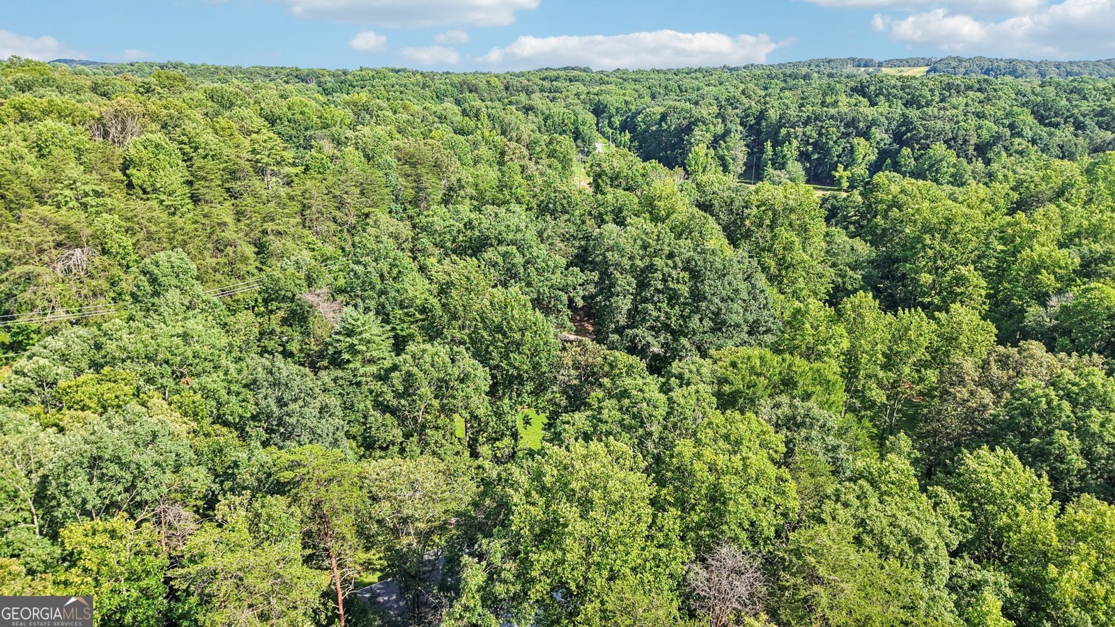 801 Copper Mines Road Murrayville - 9