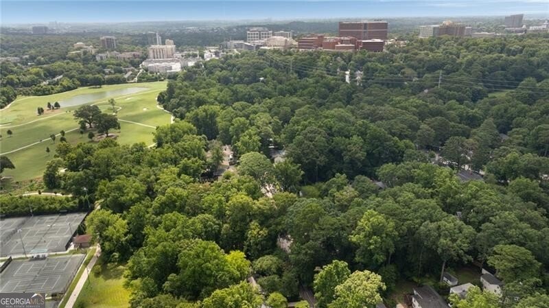 551 Overbrook Drive Atlanta - 14