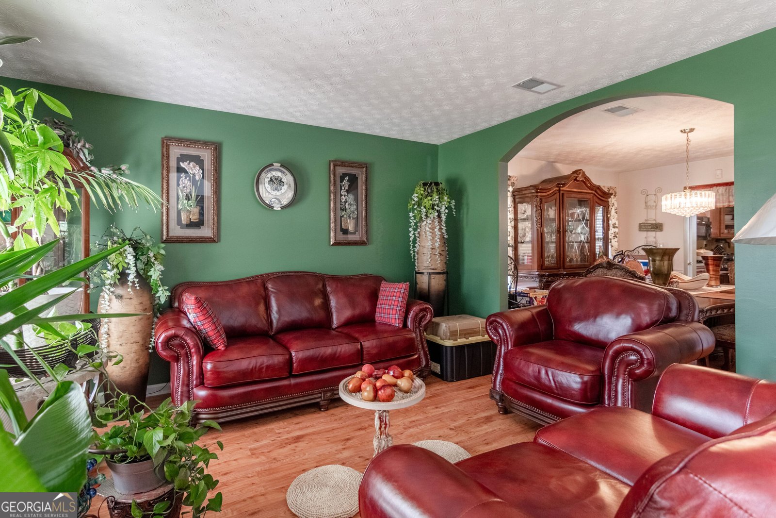 605 Gardinia Drive McDonough - 5