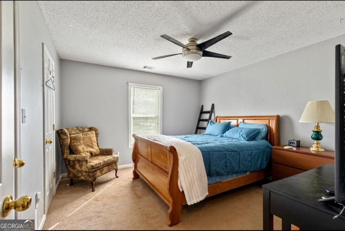 105 Meadow Spring's Court Locust Grove - 9
