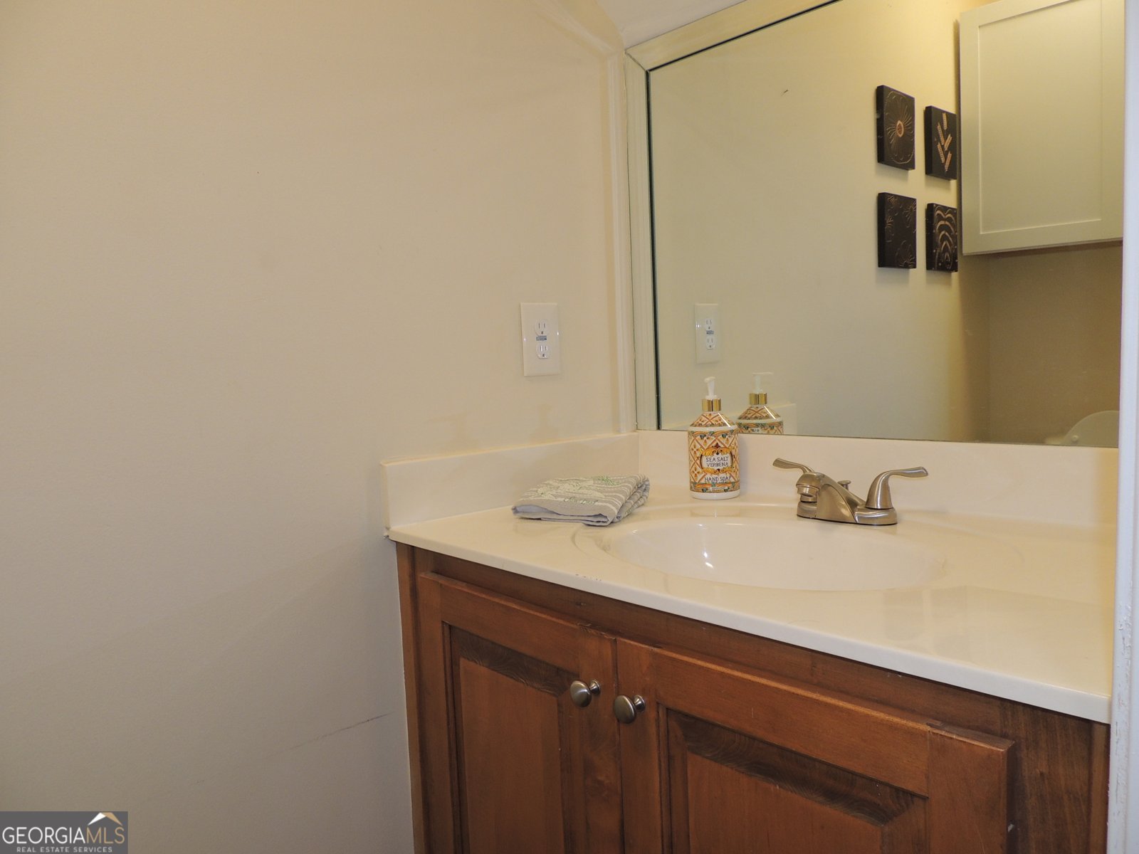 3263 Shuler Road Gainesville - 11