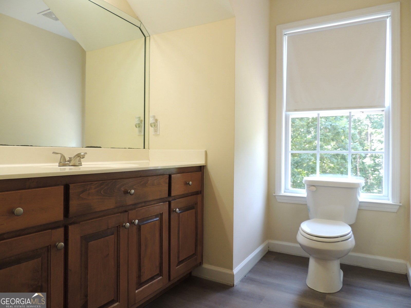 3263 Shuler Road Gainesville - 42