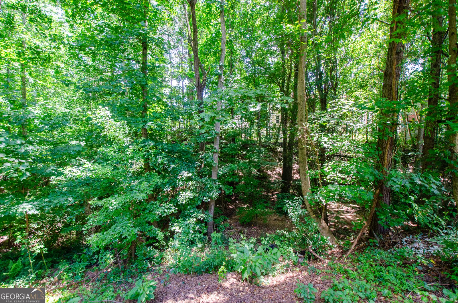 3390 Northcliff Drive Suwanee - 45