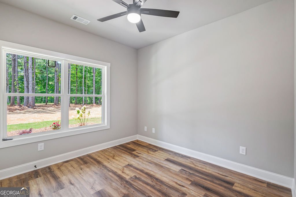 4662 Gordon Road Senoia - 20