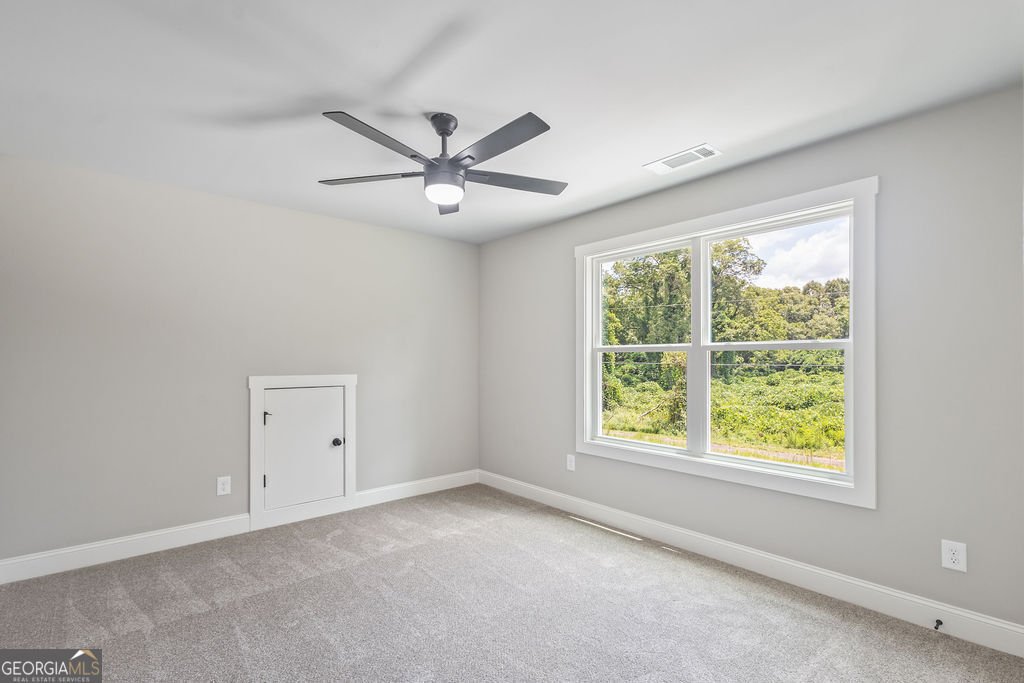 4662 Gordon Road Senoia - 22