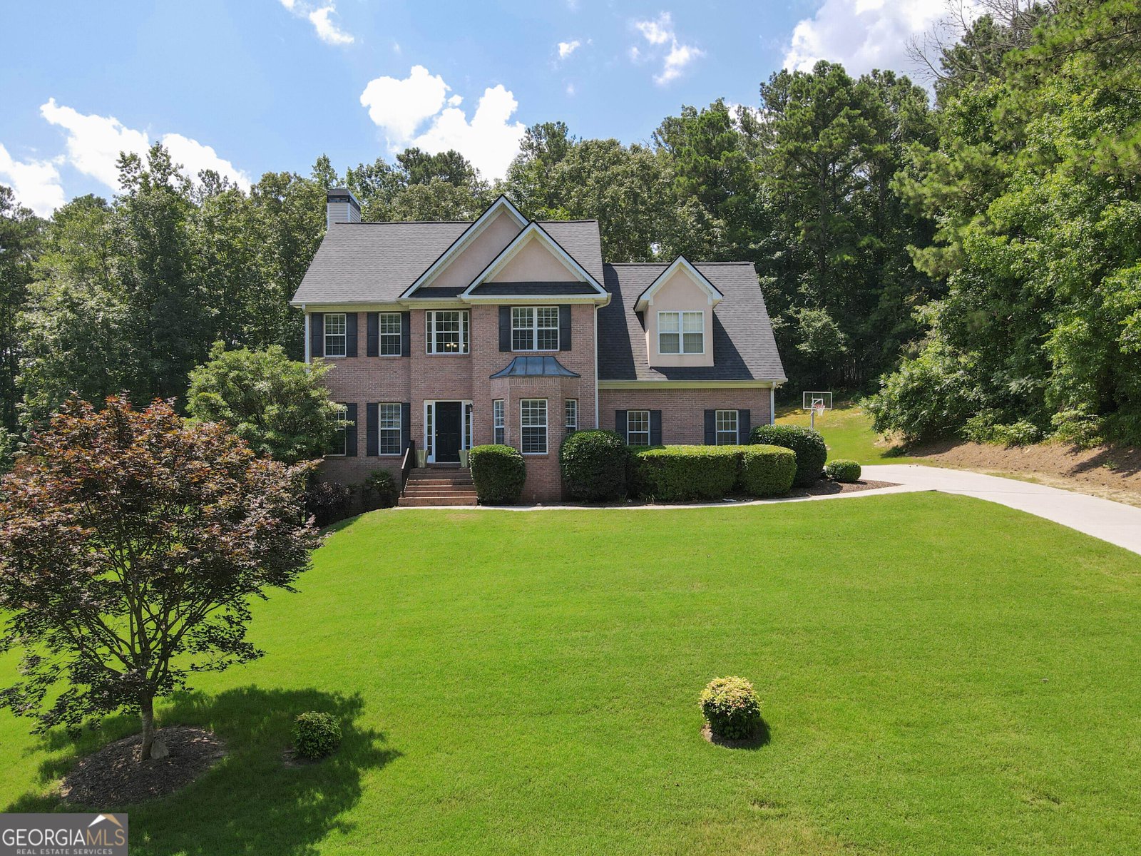 145 Farr Lake Drive Tyrone - 1