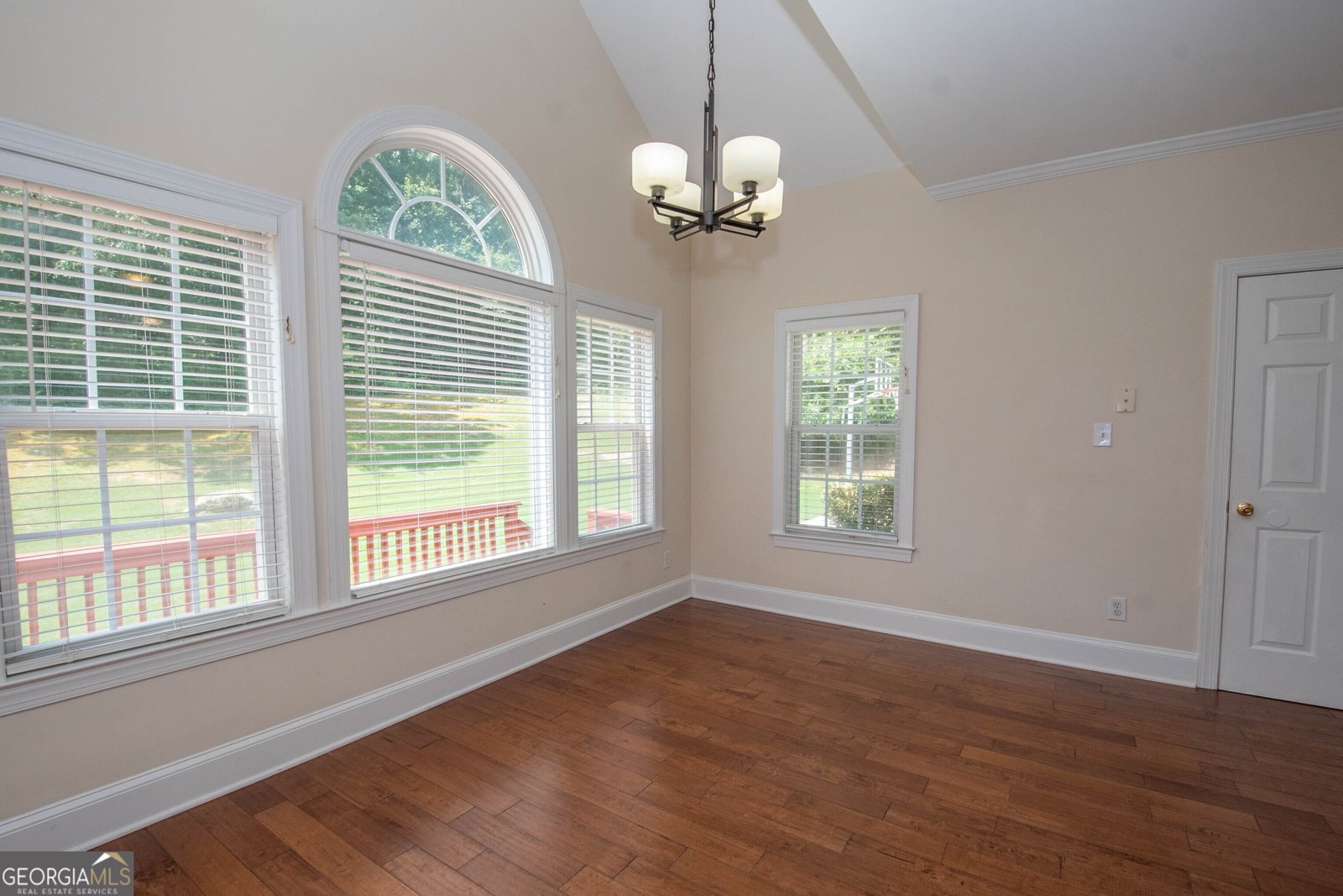 145 Farr Lake Drive Tyrone - 12