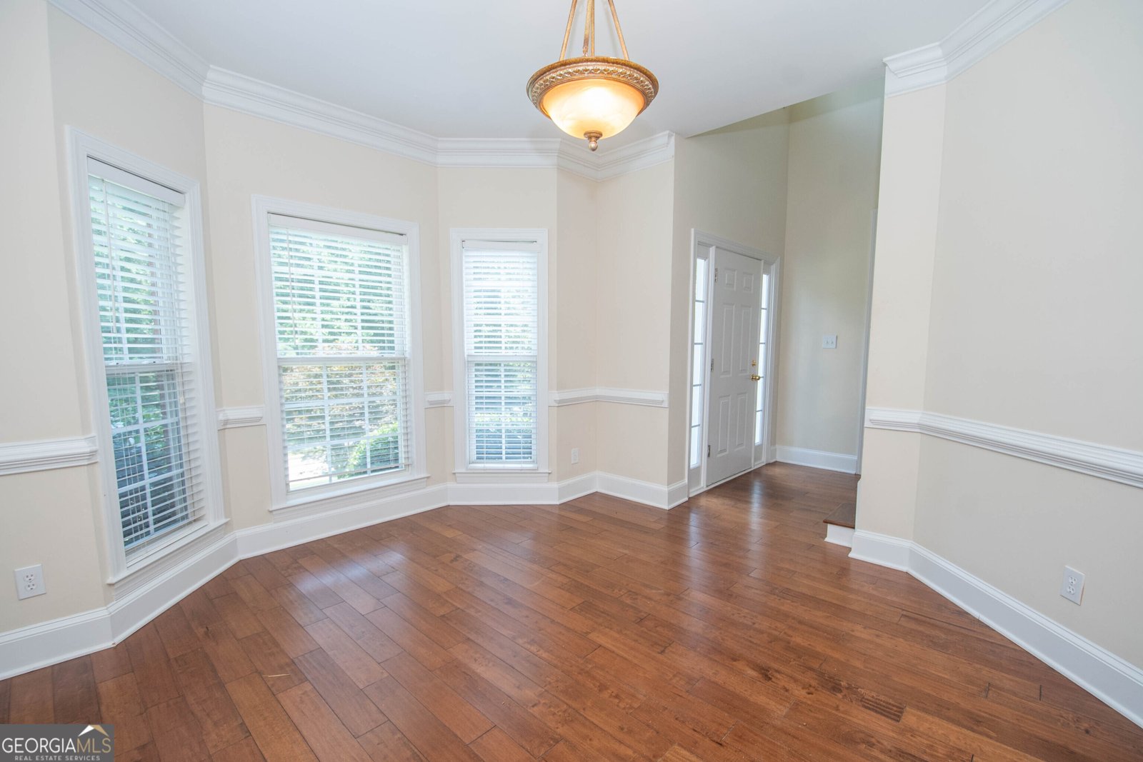 145 Farr Lake Drive Tyrone - 19