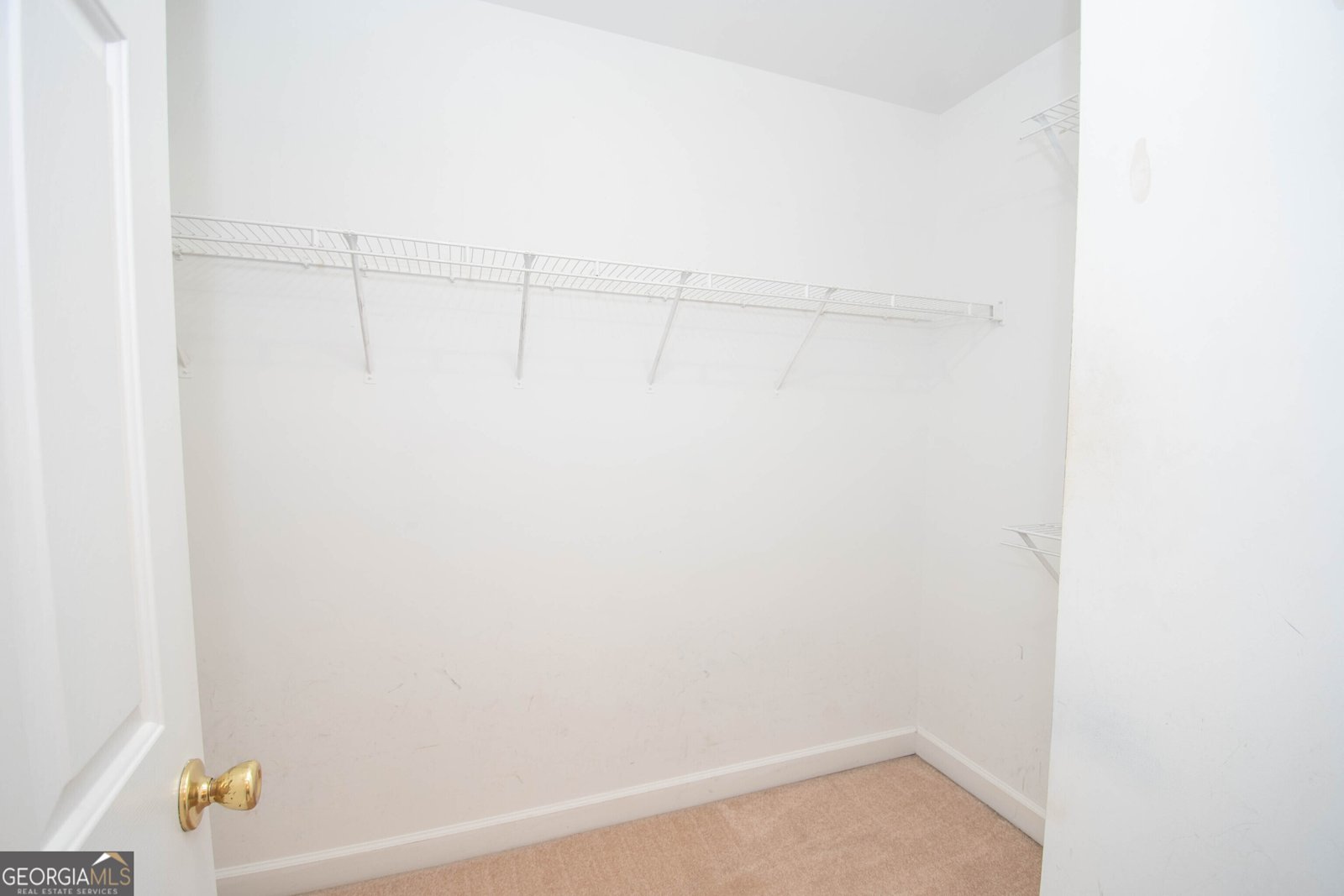 145 Farr Lake Drive Tyrone - 26