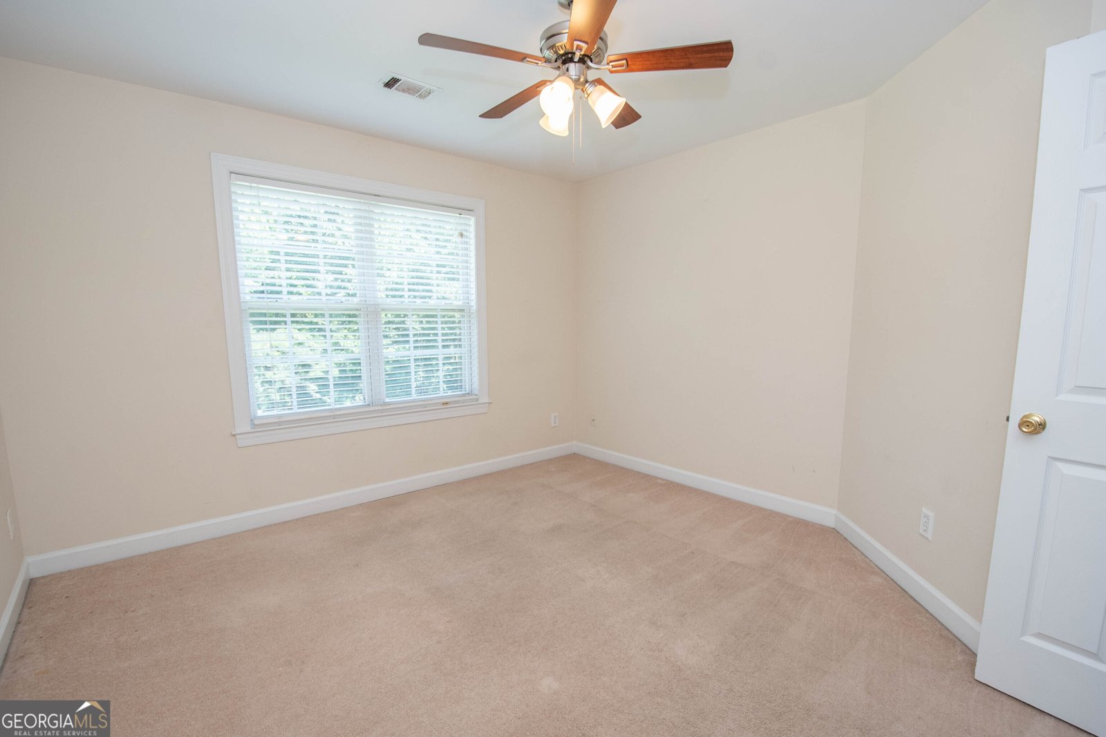 145 Farr Lake Drive Tyrone - 29
