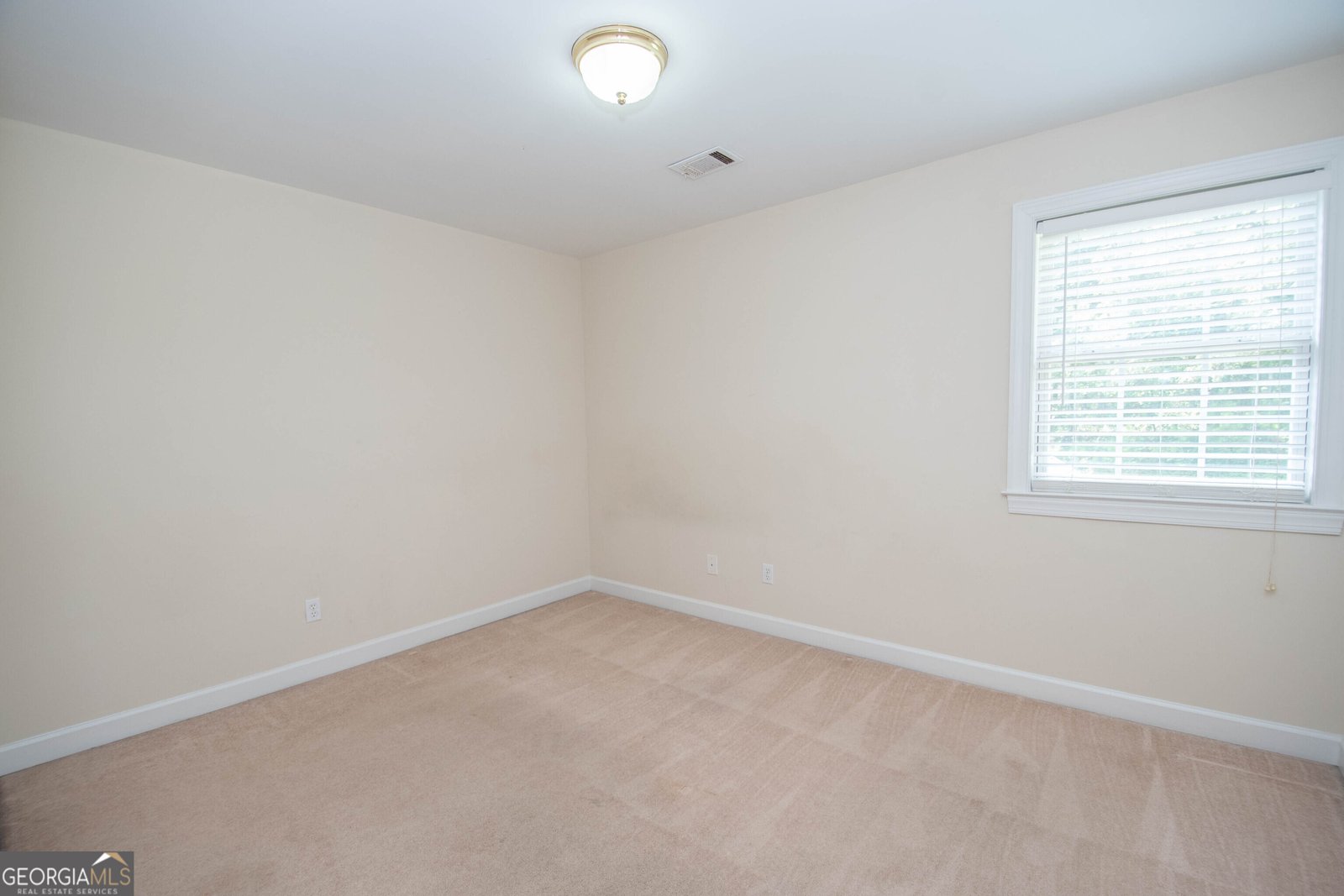 145 Farr Lake Drive Tyrone - 31