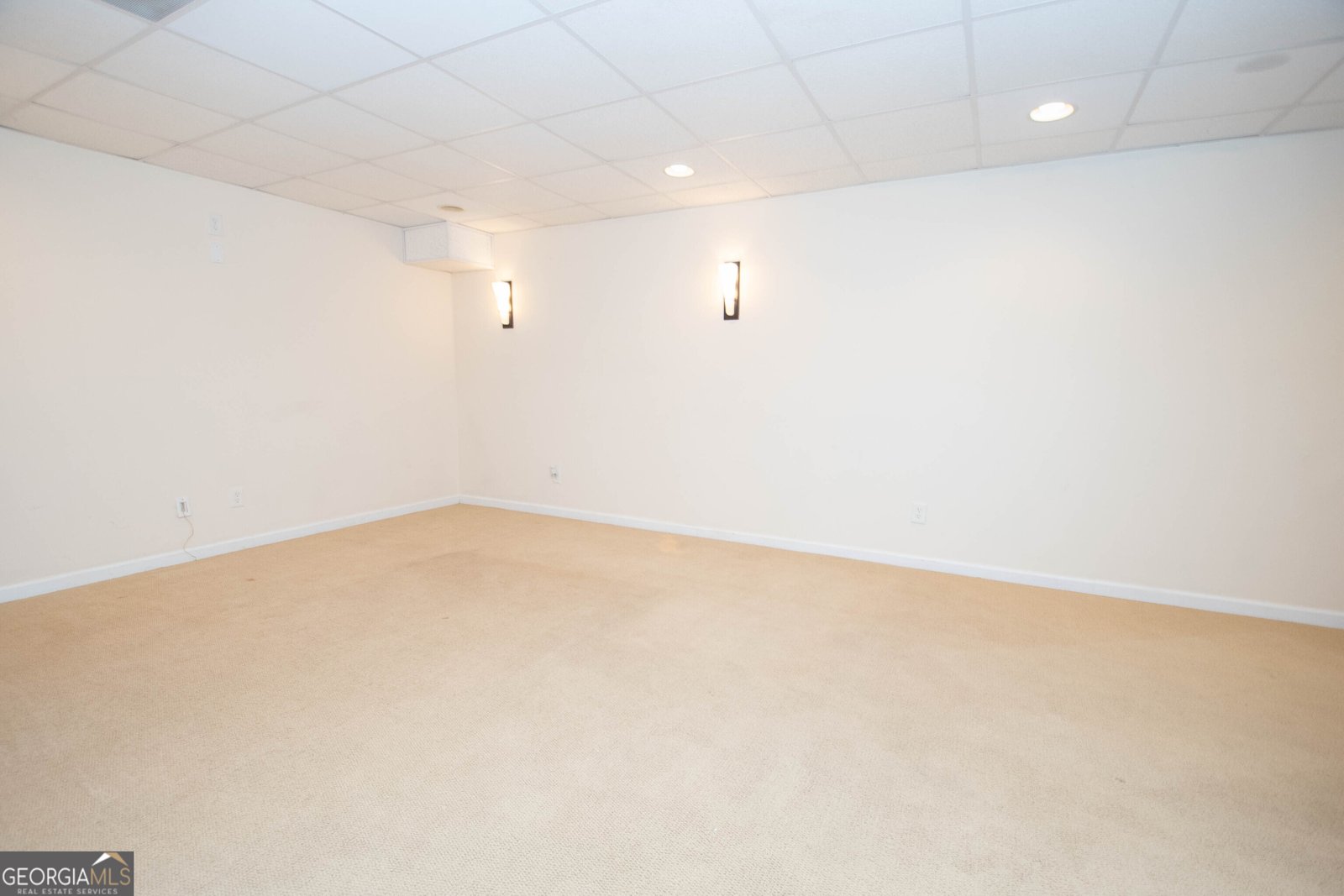 145 Farr Lake Drive Tyrone - 41