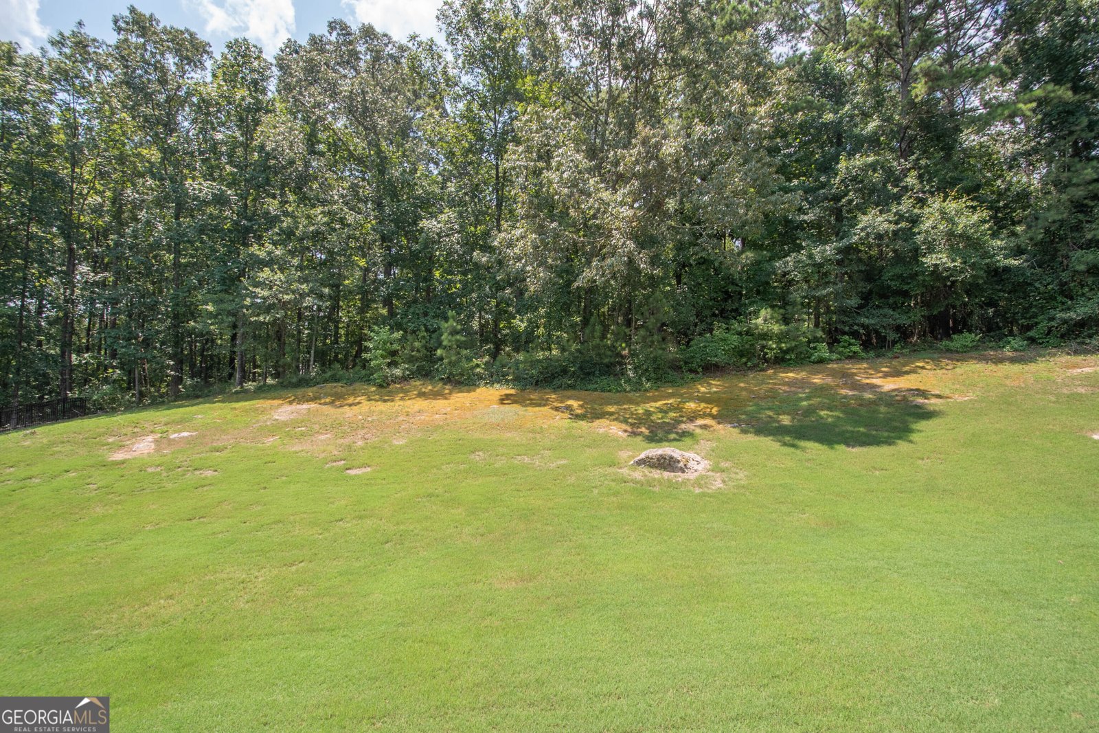 145 Farr Lake Drive Tyrone - 53