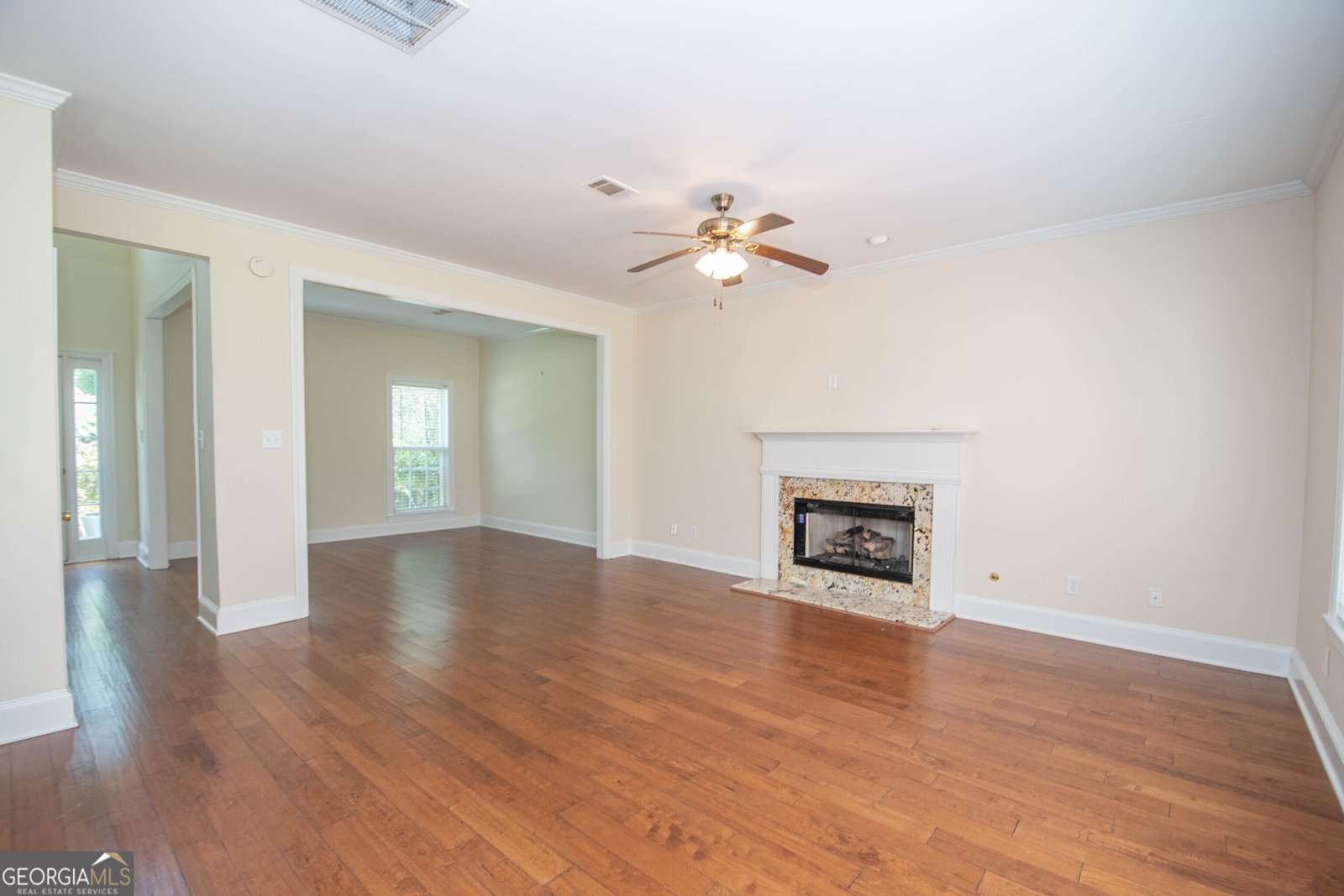 145 Farr Lake Drive Tyrone - 9