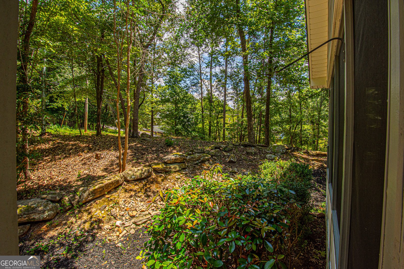 426 Mill Cove Drive Dahlonega - 29