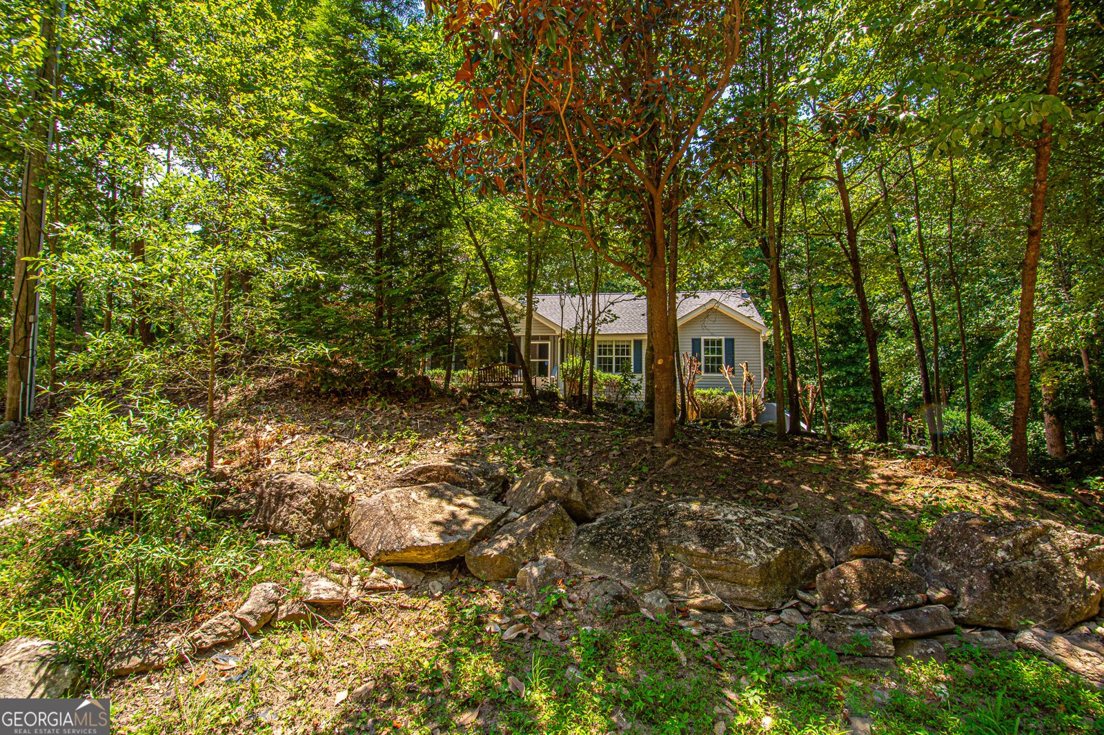 426 Mill Cove Drive Dahlonega - 33