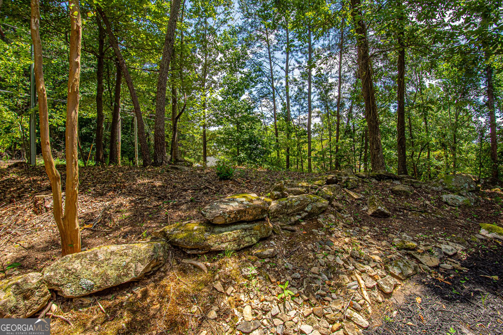 426 Mill Cove Drive Dahlonega - 9