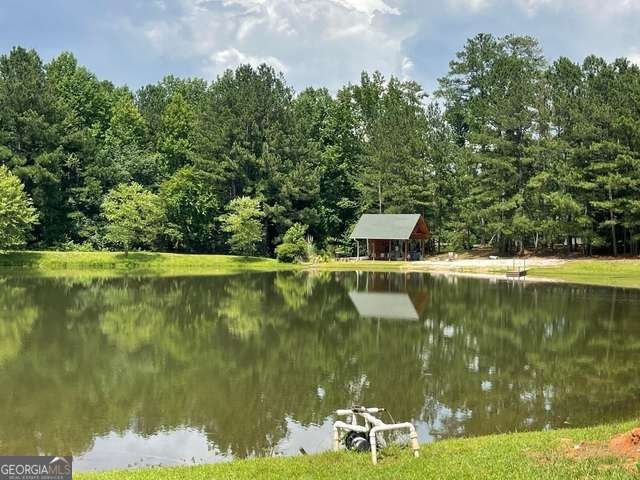711 Pine Hill Road Griffin - 6