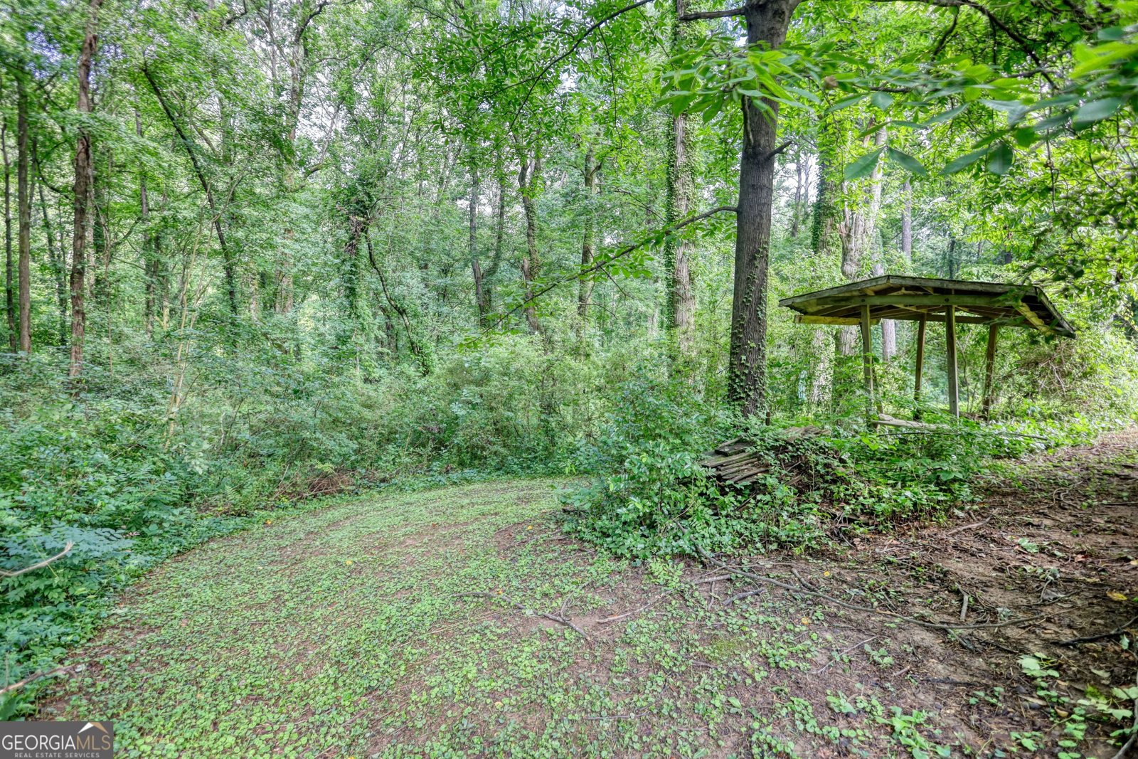 4445 Hillpine Road Forest Park - 65
