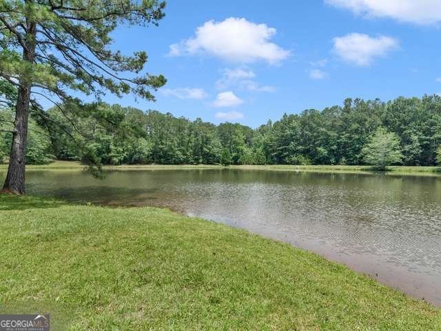 733 Pine Hill Road Griffin - 37
