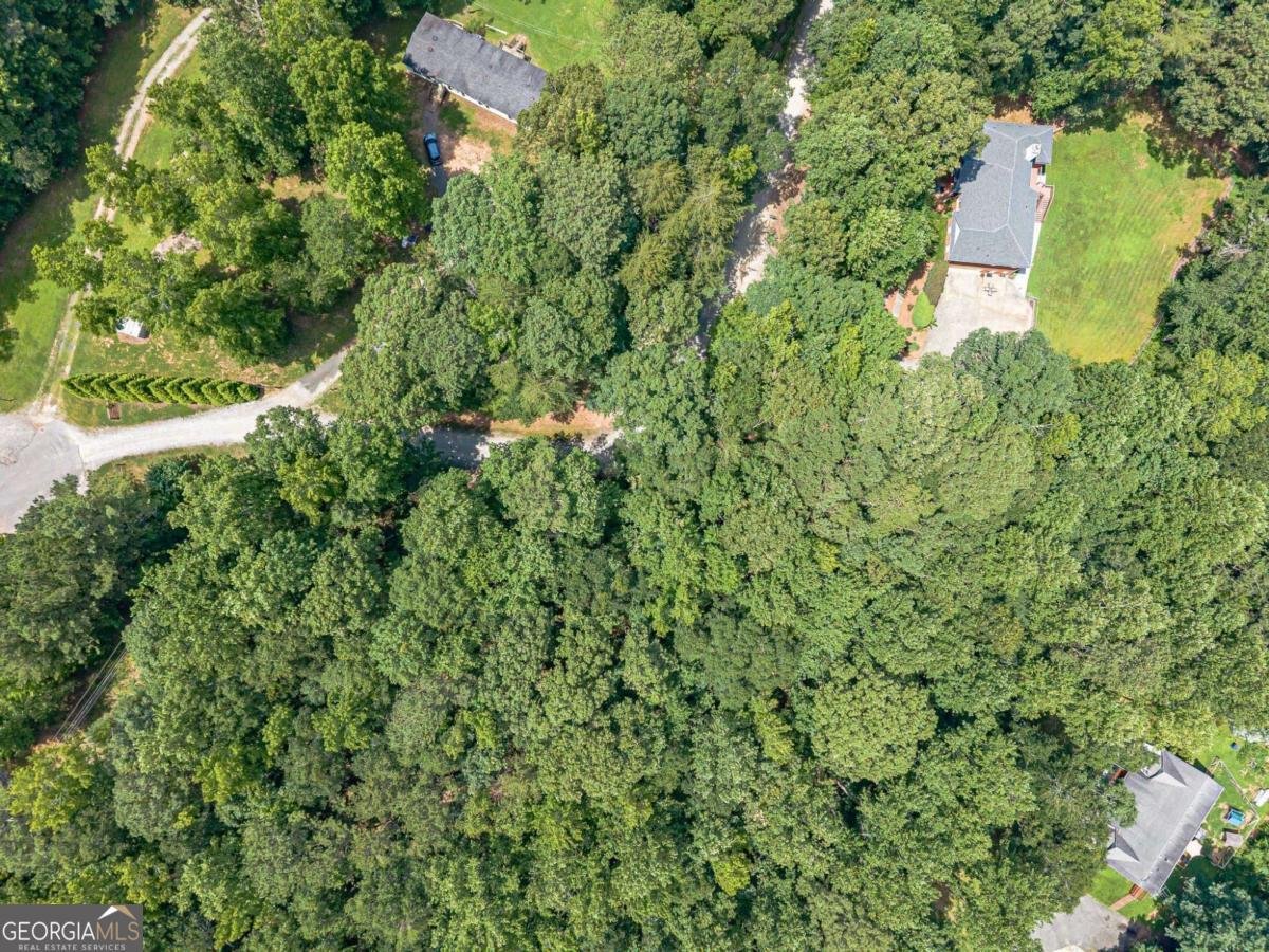 1498 Pinyan Lane Canton - 1