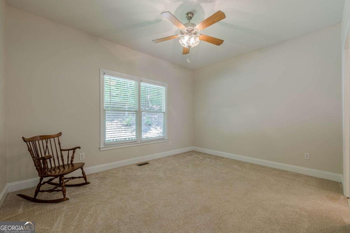 1498 Pinyan Lane Canton - 46