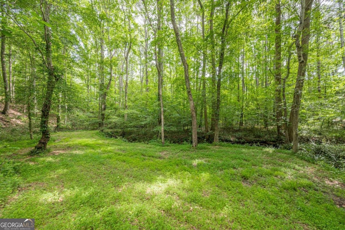 1498 Pinyan Lane Canton - 77