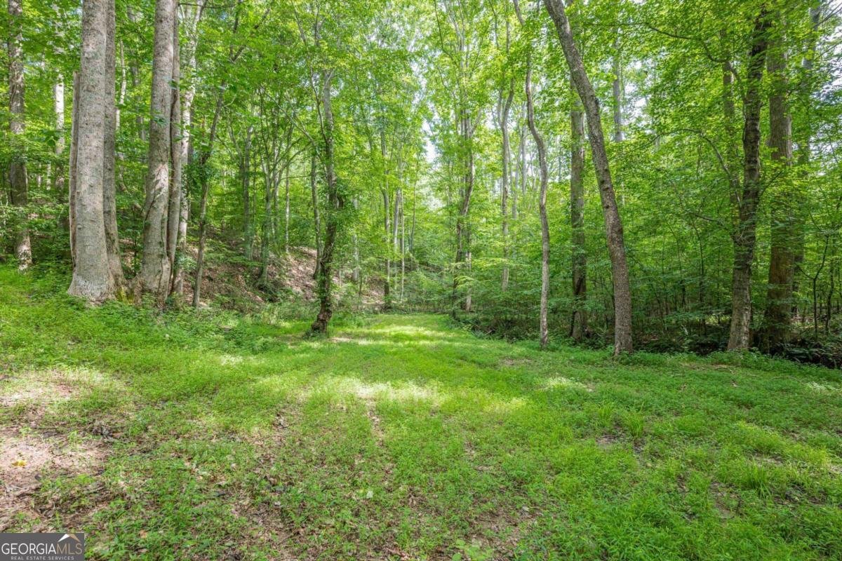 1498 Pinyan Lane Canton - 78
