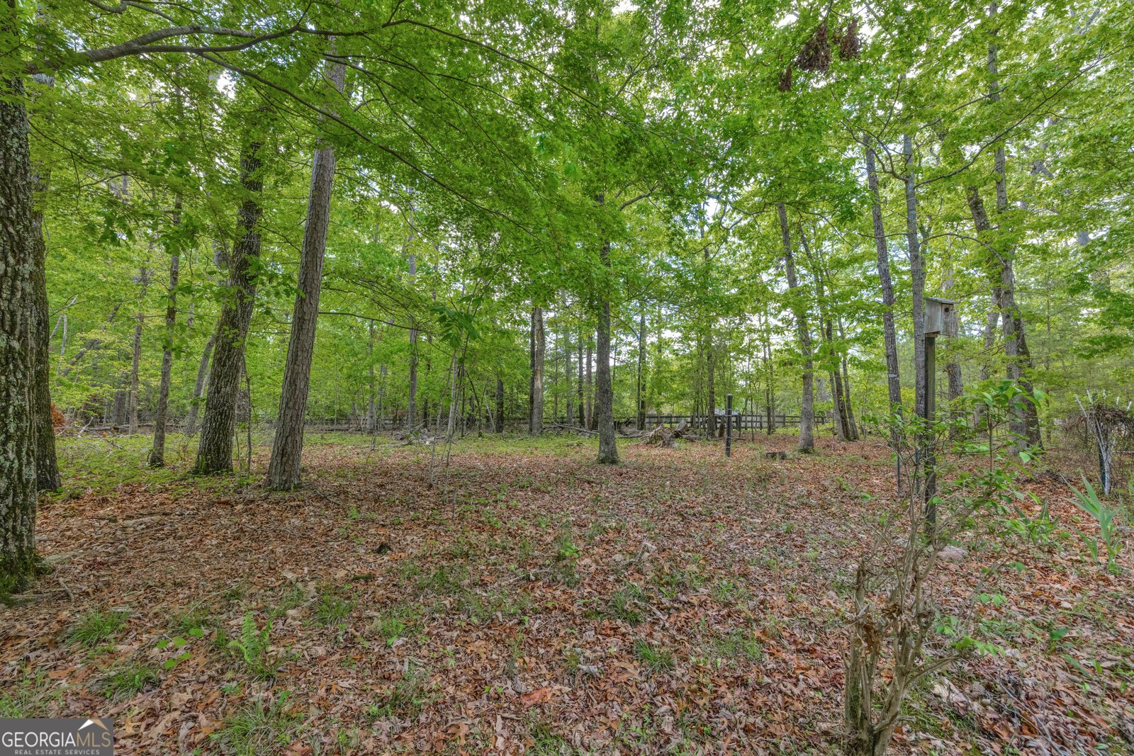 1437 Frank Lovell Road Clarkesville - 60