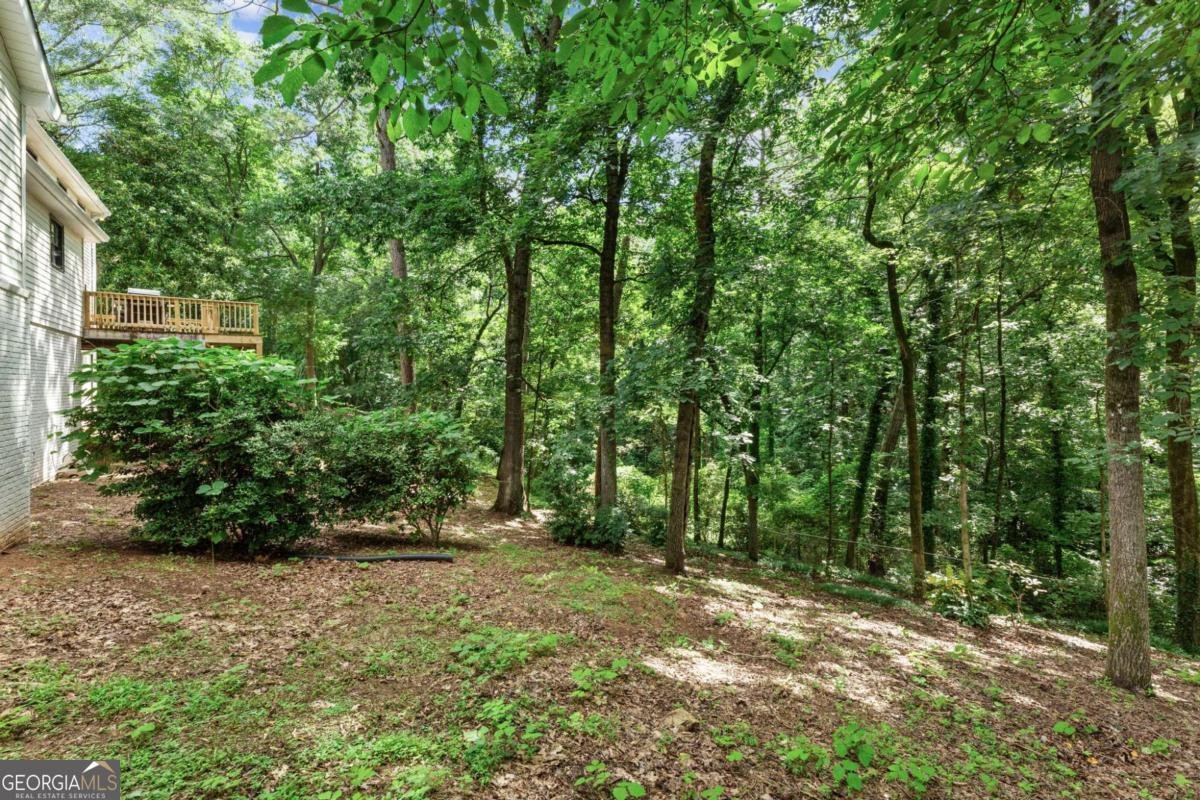 217 Skyland Drive Roswell - 29