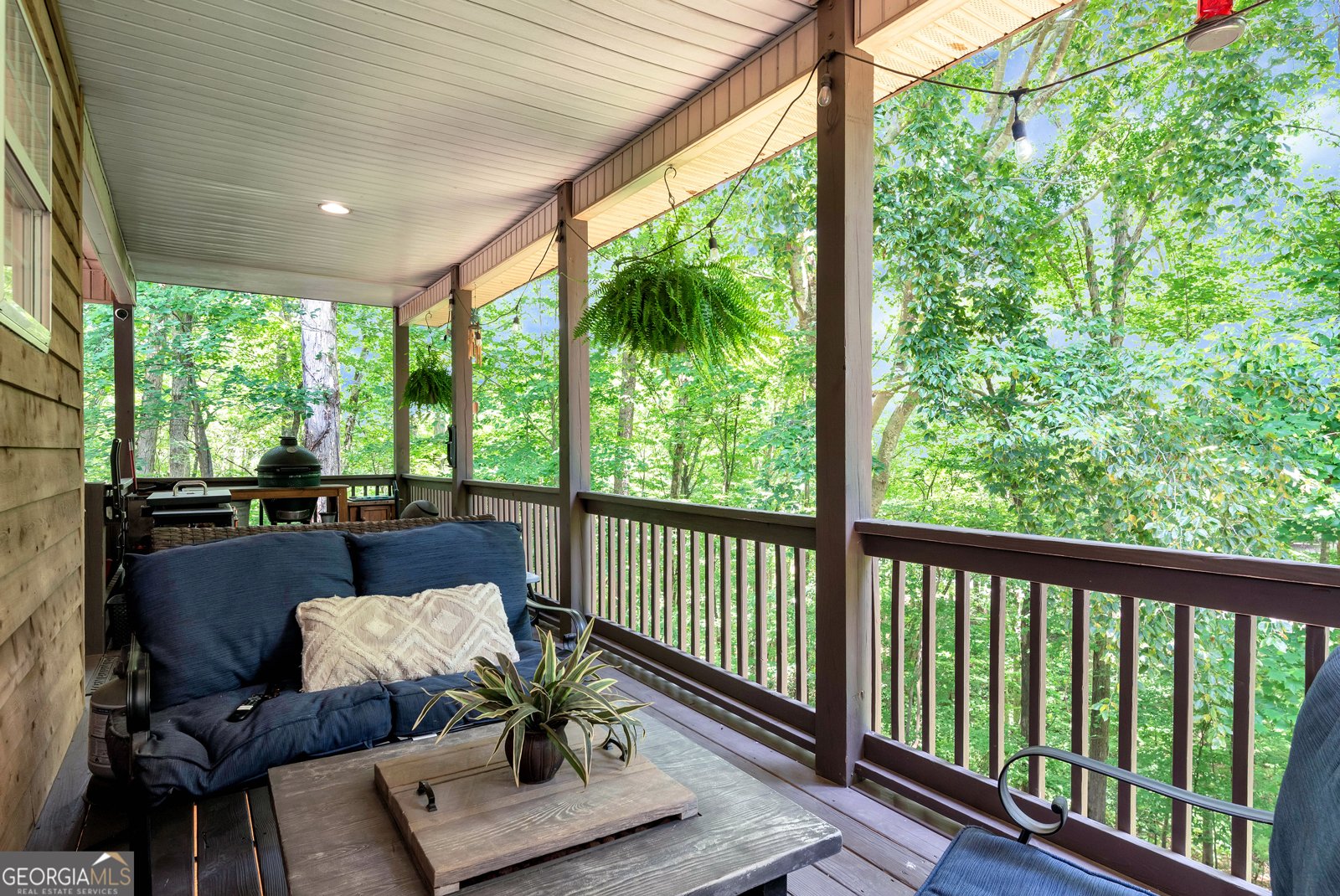 6 Spalding Court Ellijay - 38