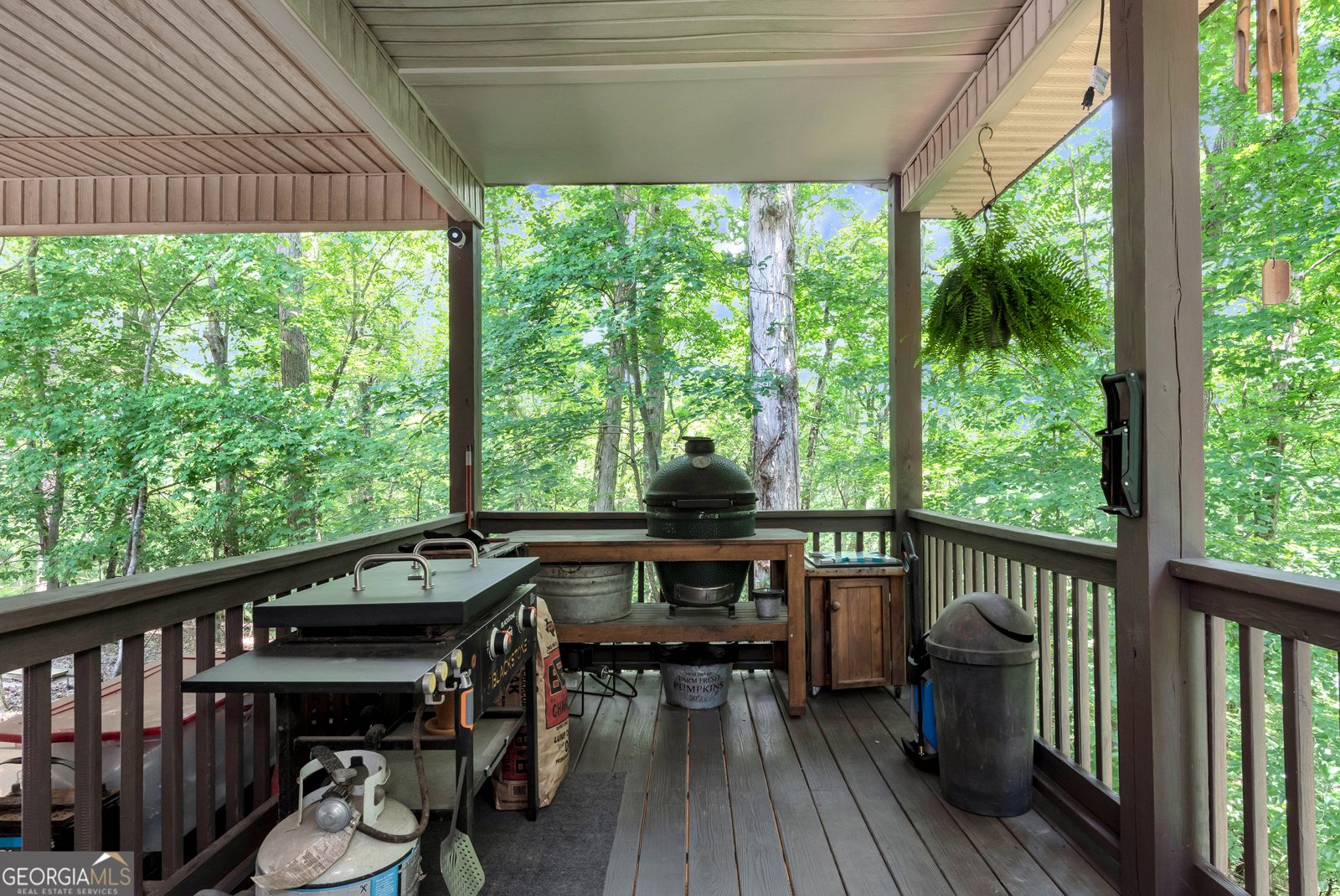 6 Spalding Court Ellijay - 40