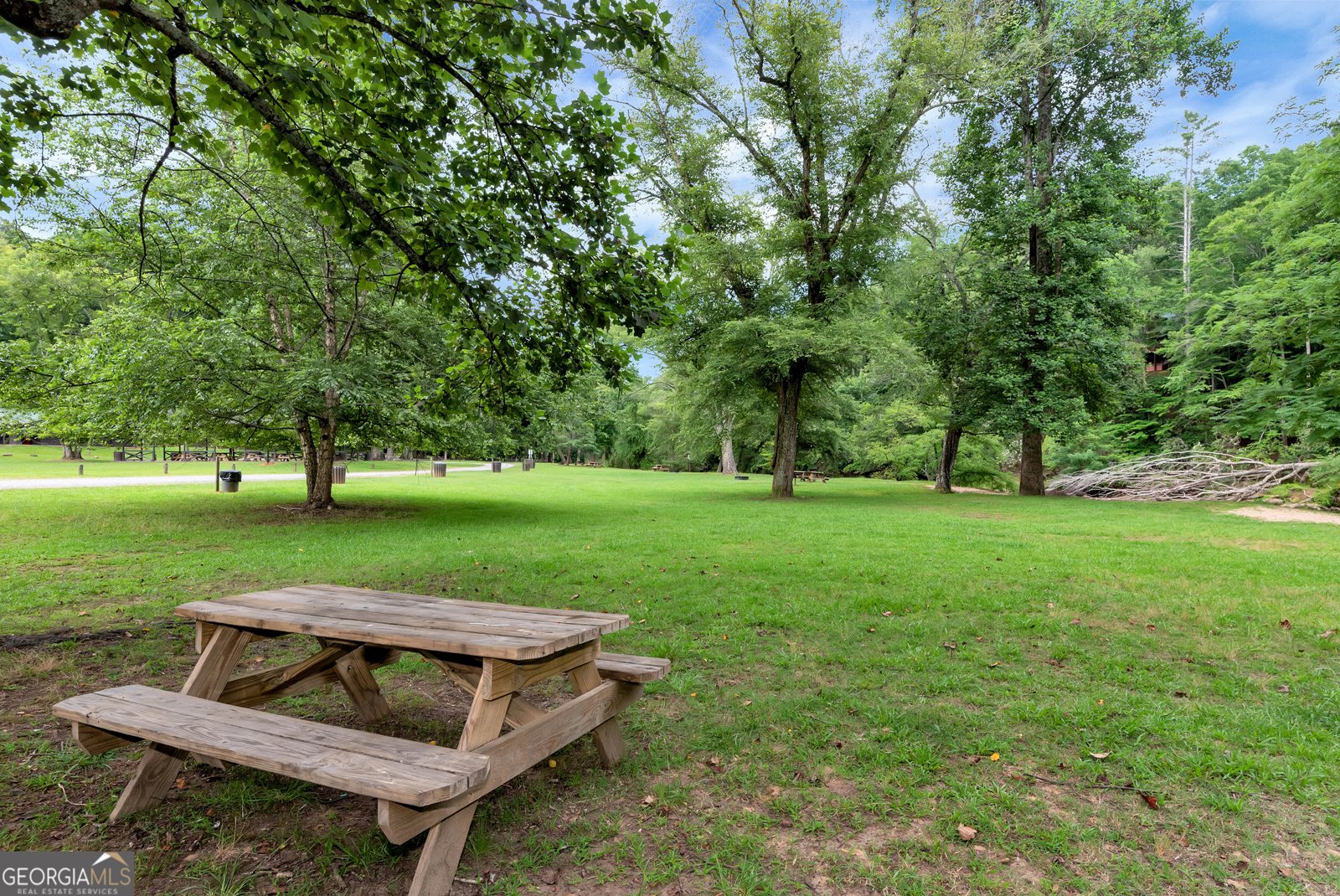 6 Spalding Court Ellijay - 60